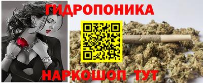 прущие грибы Волгодонск