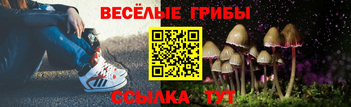 Псилоцибиновые грибы GOLDEN TEACHER  Вход с VPN  Ялта 