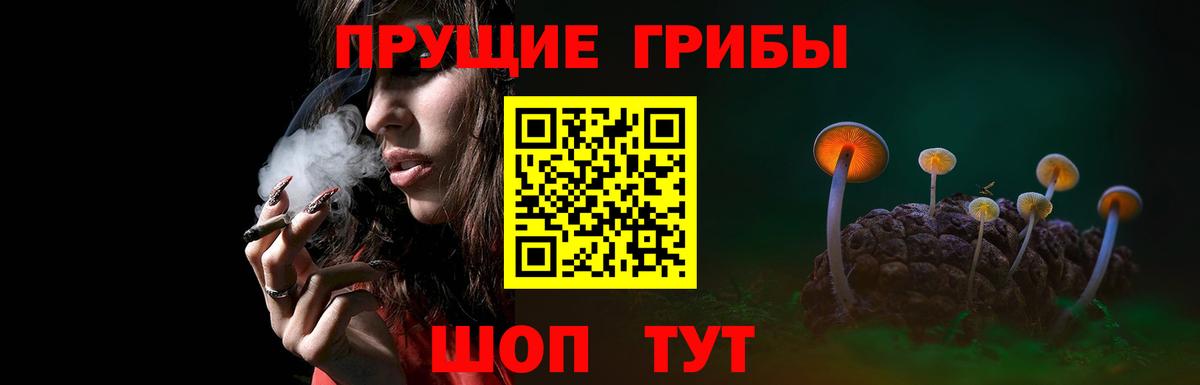 Ялта  Галлюциногенные грибы GOLDEN TEACHER  Вход с VPN  Псилоцибиновые грибы MAGIC MUSHROOMS 